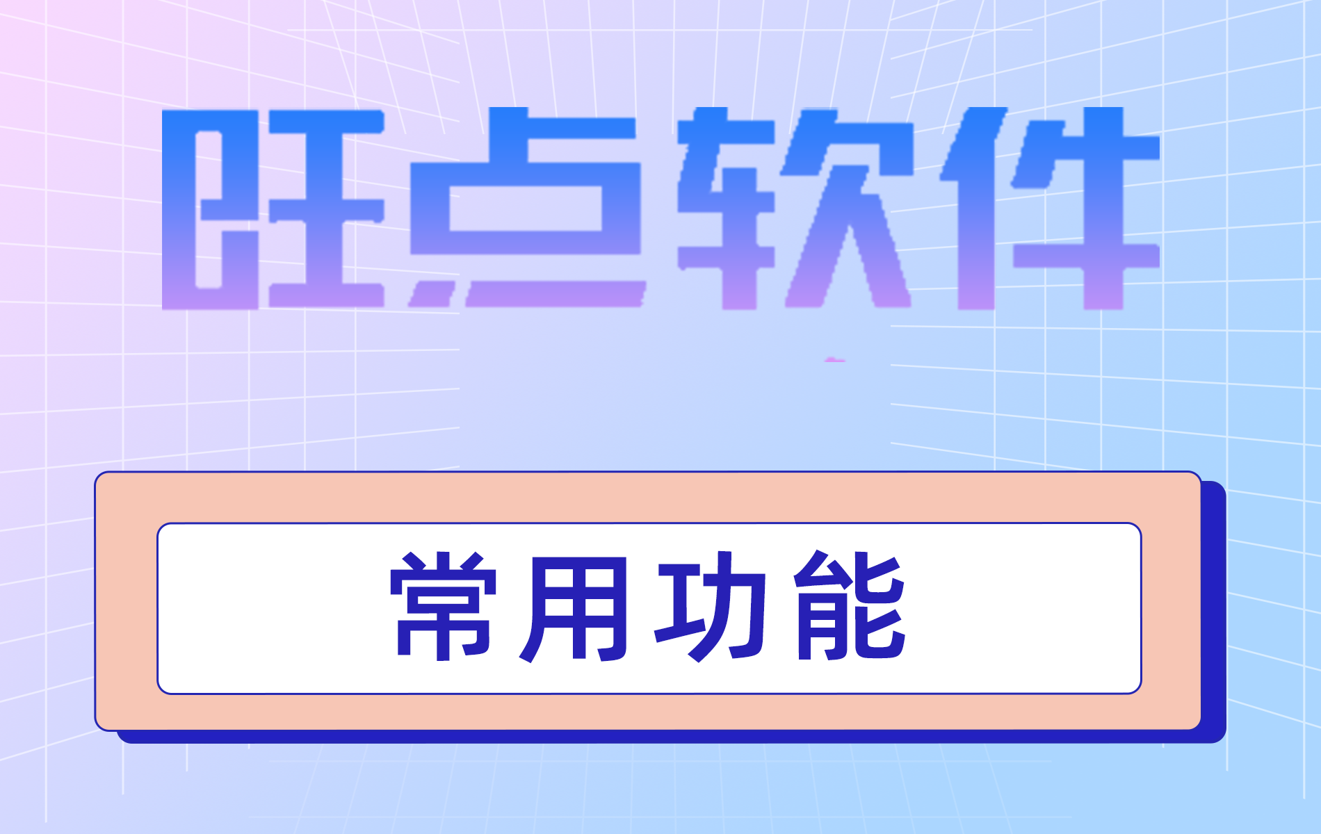 旺点软件 常用功能（视频）